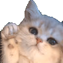 Hey emote