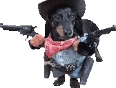 CowboyDOGGO emote