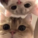 huhu emoji