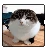 wawacube emote