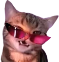 catvogue emote