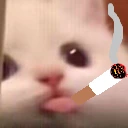 blassic emote
