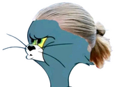 HaaLand static emote