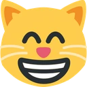 grin_cat emote