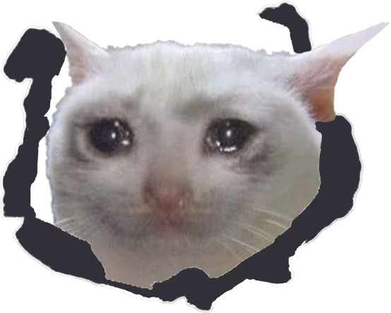 crying_cat emote