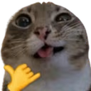 sendy emote