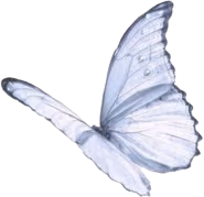 bluebutterfly emote