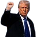 trumpfist static emote