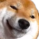DogeSmug emote