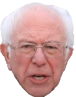 berniesanders emote