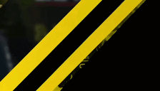 MAXVERSTAPPEN animated emote