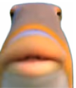 Huh emote