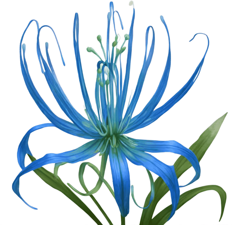 blue_spider_lily emote