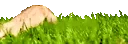 TouchGrass emoji