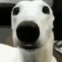 monkaW emote