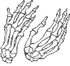 Clap animated emote