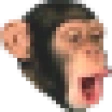CHIMP_POG emote