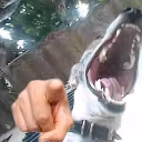 LOSER emote