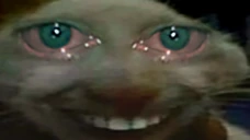 sdd emote