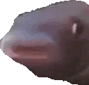 popFish emote