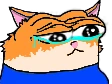 peeposadcat emote