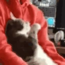 wtf emote