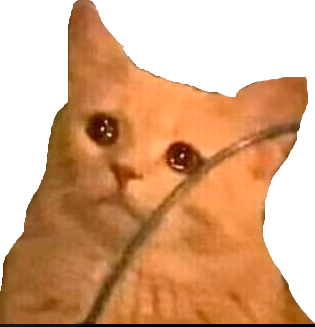 sadcat4 emote