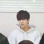 Seungmin_Nod animated emote