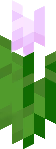 Minecraft_Pink_Tulip emote