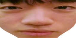 Staria emote