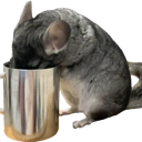 chinchilla_tea emote