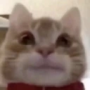 frank emote