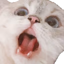 NanaScream emote