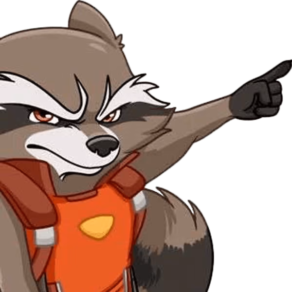 RoicketRacoonPoint emote