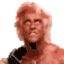 Wooo emote