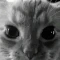 deathmyself emote