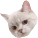 Nana_Sideeye emote