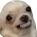 cringe emote