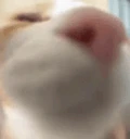 vuh emote