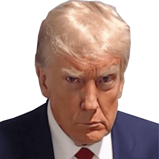 TrumpMugshot emote