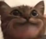 33 emote