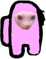 bingus_amongus emote