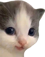 hehe emote