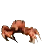 crabrave emote