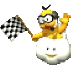 LakituCheckerFLAG emote