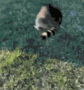 iframe emote