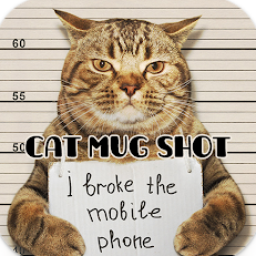 I_broke_the_phone static emote