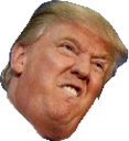 Donald_trump_angry emote