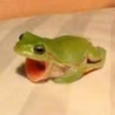 AHHHHHHHH emote