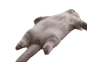 stretch animated emote
